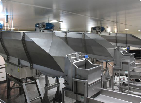 IMG3- Con tecnología